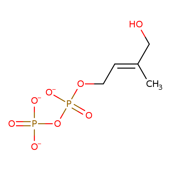 Image of MNXM606