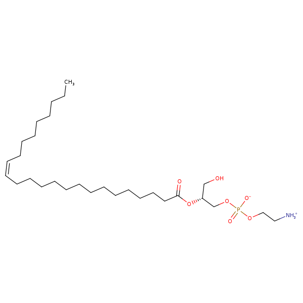 Image of MNXM60803