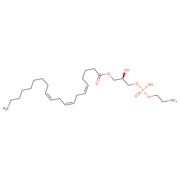 Image of MNXM60821