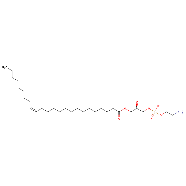 Image of MNXM60833