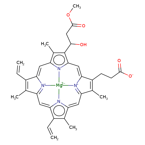 Image of MNXM60922