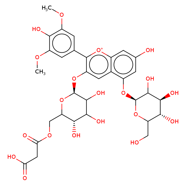 Image of MNXM61017