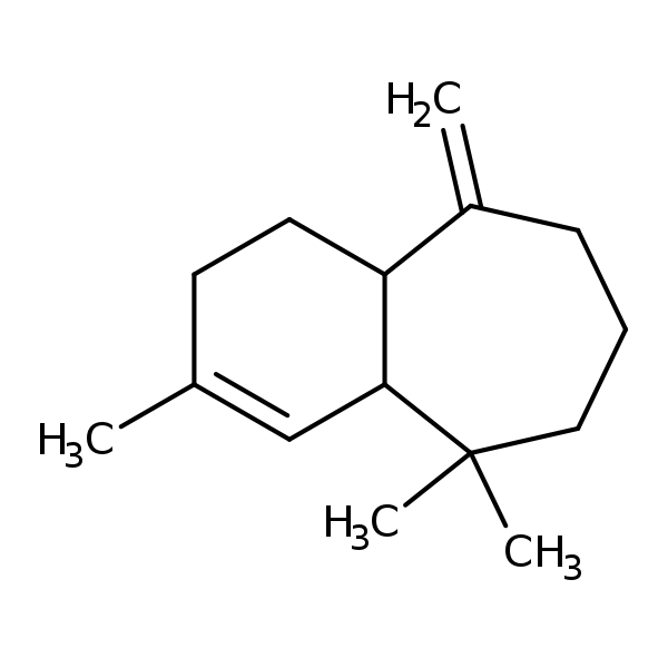 Image of MNXM6162