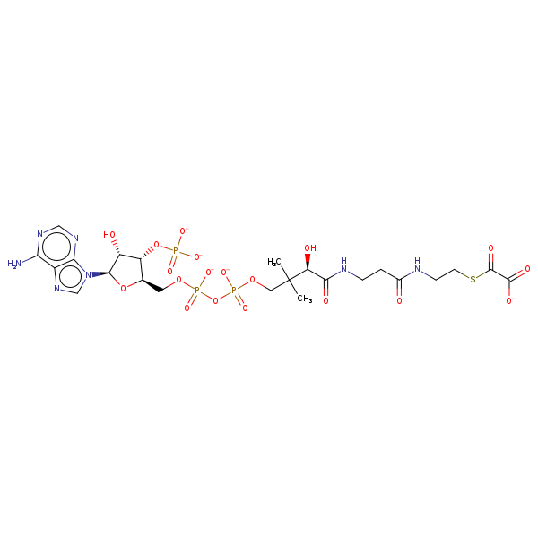 Image of MNXM618