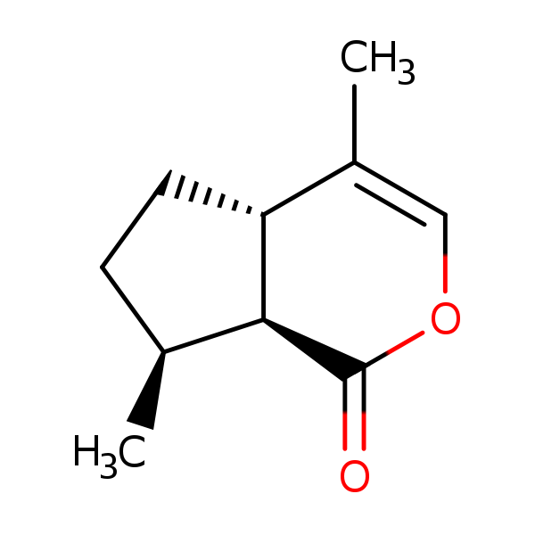 Image of MNXM64445