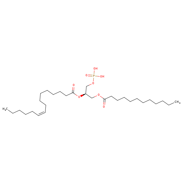 Image of MNXM66280