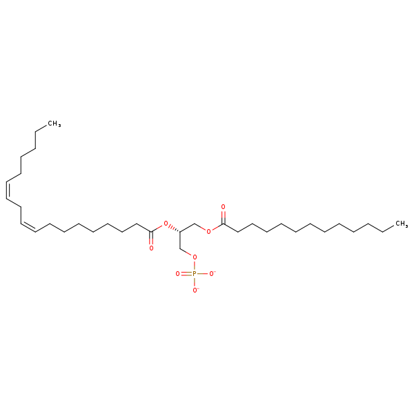 Image of MNXM66320
