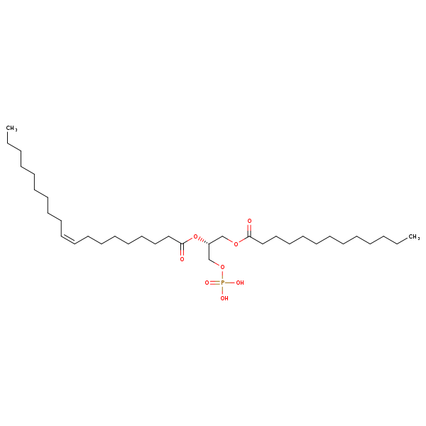 Image of MNXM66325
