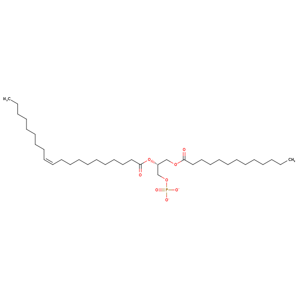 Image of MNXM66327