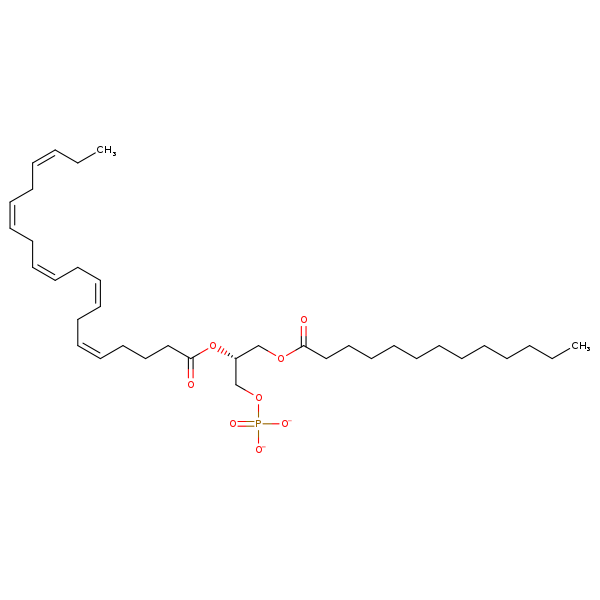 Image of MNXM66331