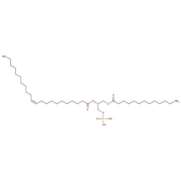 Image of MNXM66334