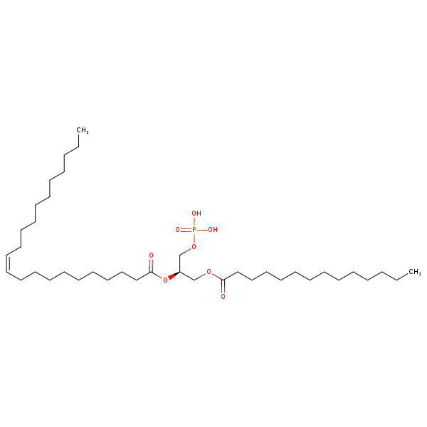 Image of MNXM66364