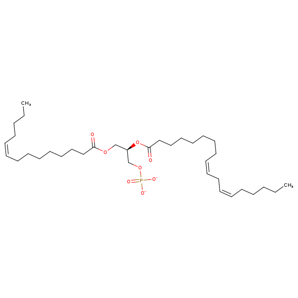Image of MNXM66382