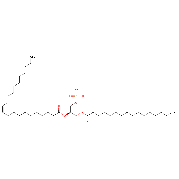Image of MNXM66491