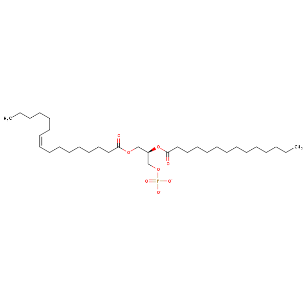 Image of MNXM66499