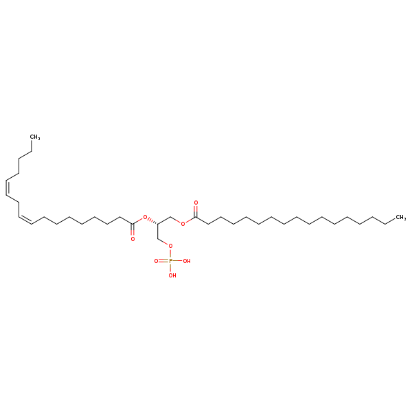 Image of MNXM66539
