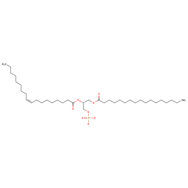 Image of MNXM66541