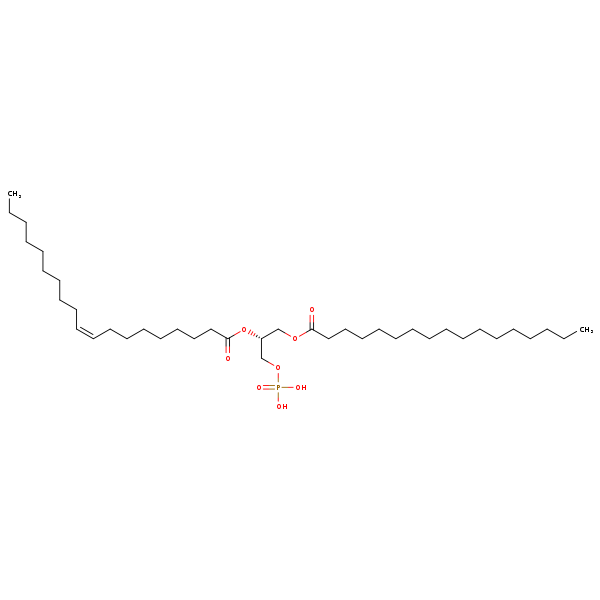 Image of MNXM66547