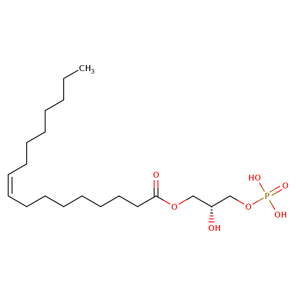 Image of MNXM66560