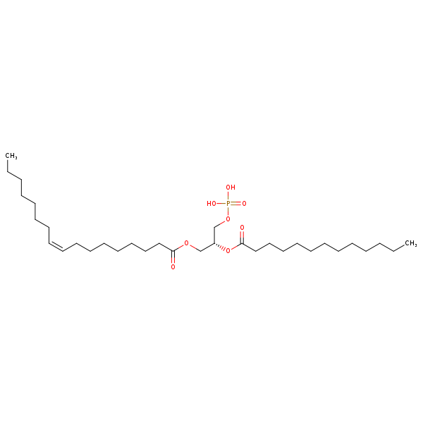 Image of MNXM66562