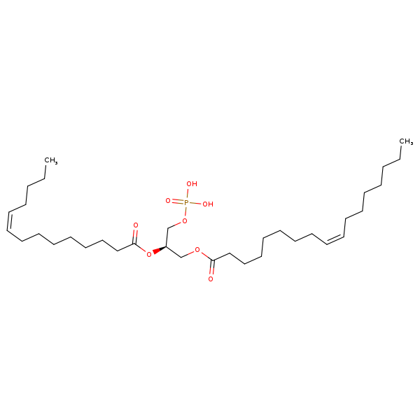 Image of MNXM66564