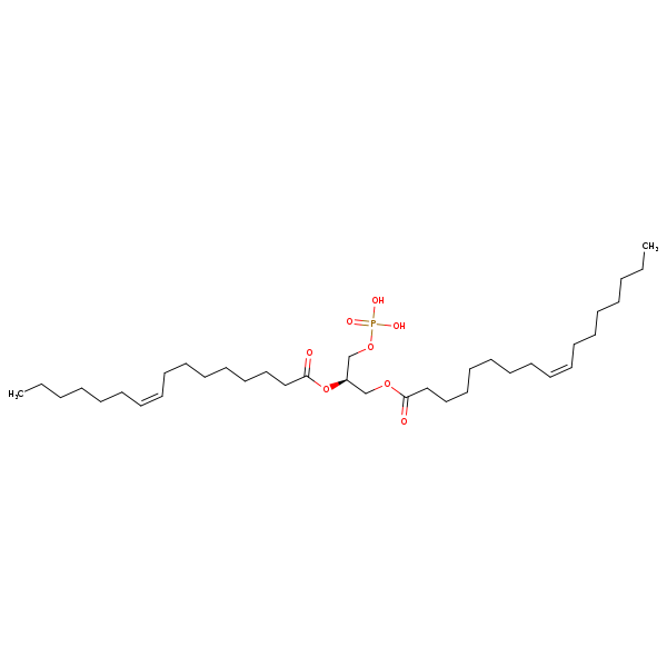 Image of MNXM66568