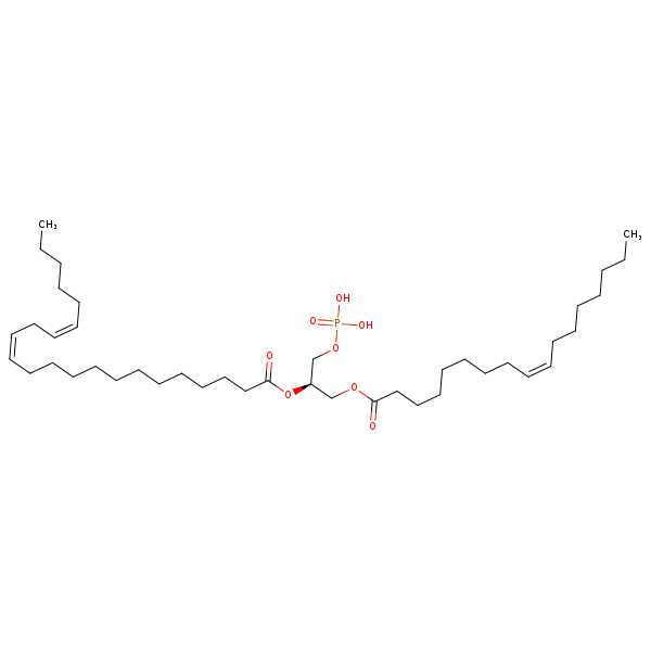 Image of MNXM66589