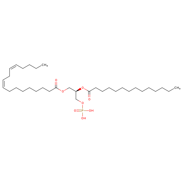 Image of MNXM66595