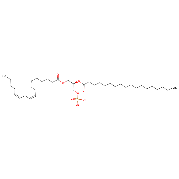 Image of MNXM66604