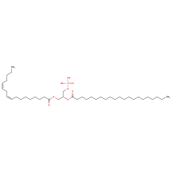 Image of MNXM66618