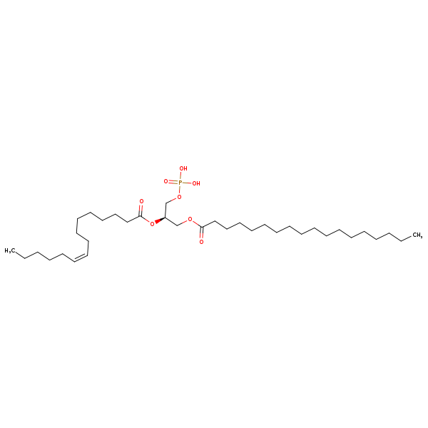 Image of MNXM66629