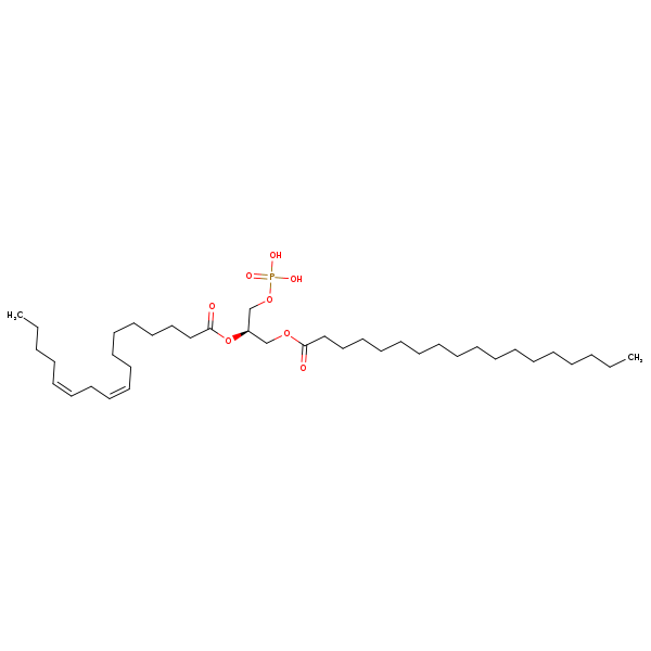 Image of MNXM66634