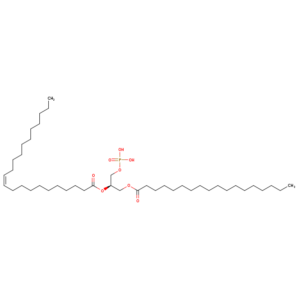 Image of MNXM66650