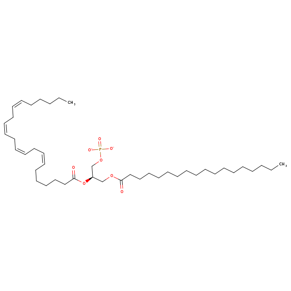 Image of MNXM66652