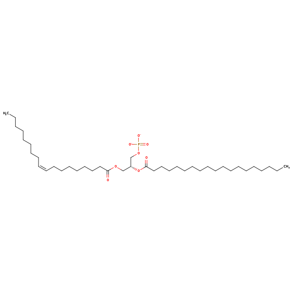 Image of MNXM66674