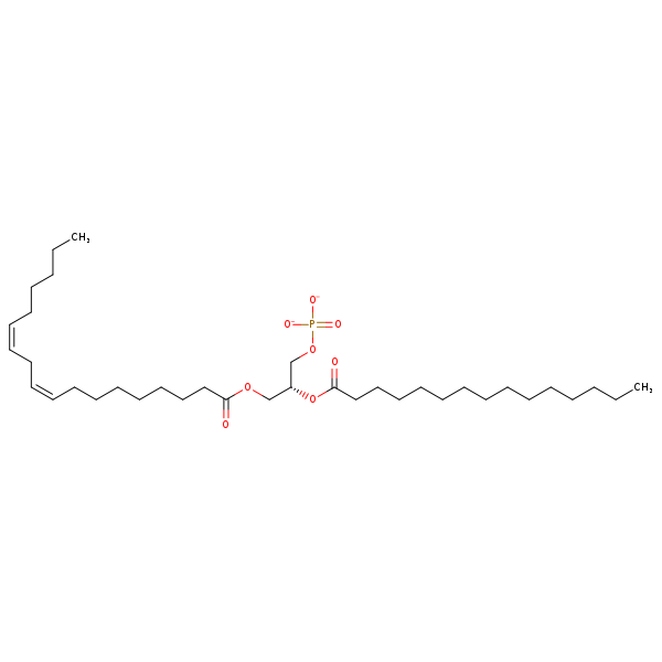 Image of MNXM66692