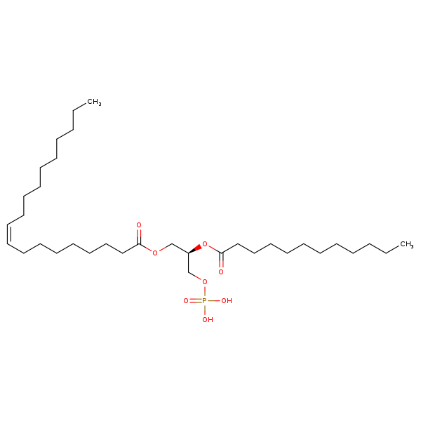 Image of MNXM66848