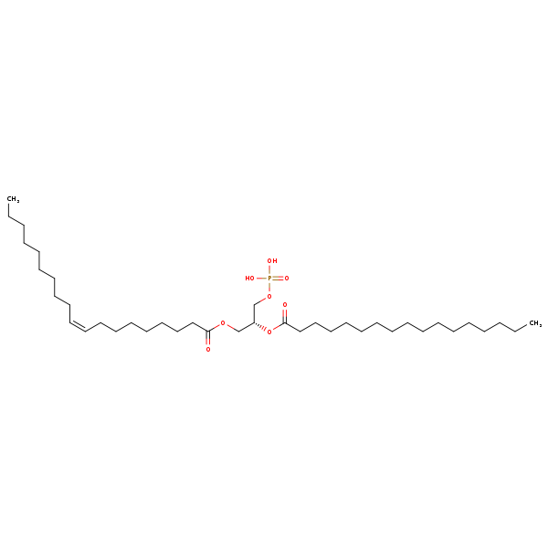 Image of MNXM66856
