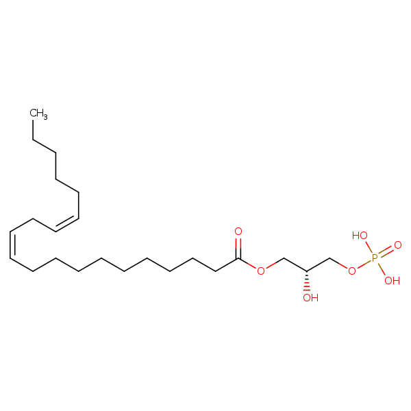 Image of MNXM66944