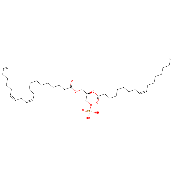 Image of MNXM66954