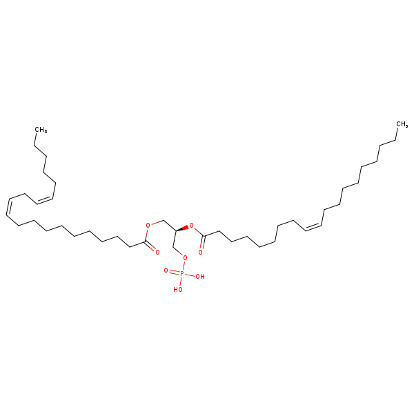 Image of MNXM66963