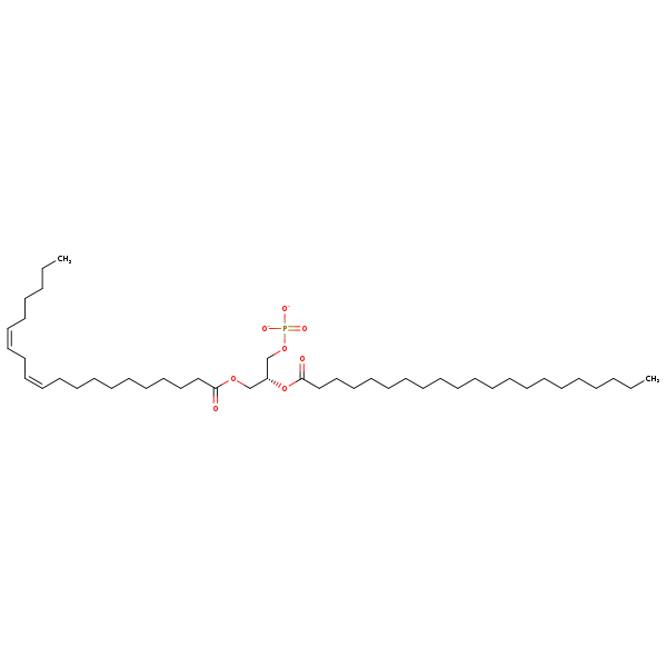Image of MNXM66970
