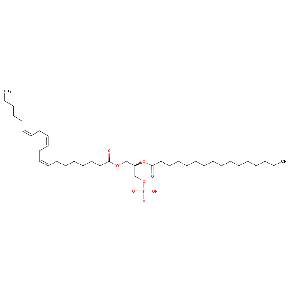 Image of MNXM66983