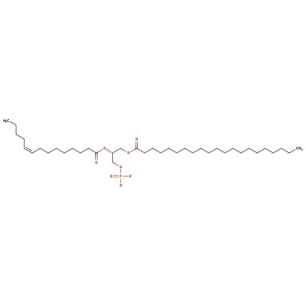 Image of MNXM67077
