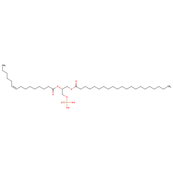 Image of MNXM67079