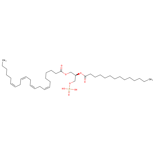 Image of MNXM67205