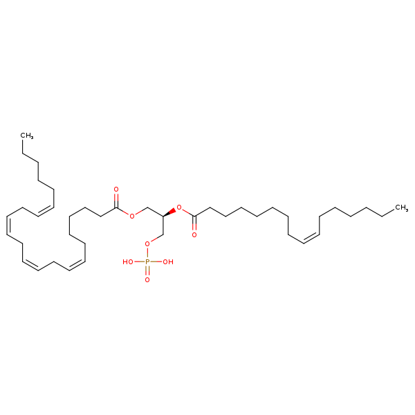 Image of MNXM67210