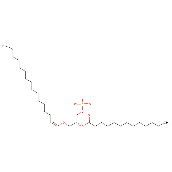 Image of MNXM67363