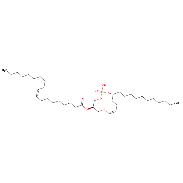 Image of MNXM67379