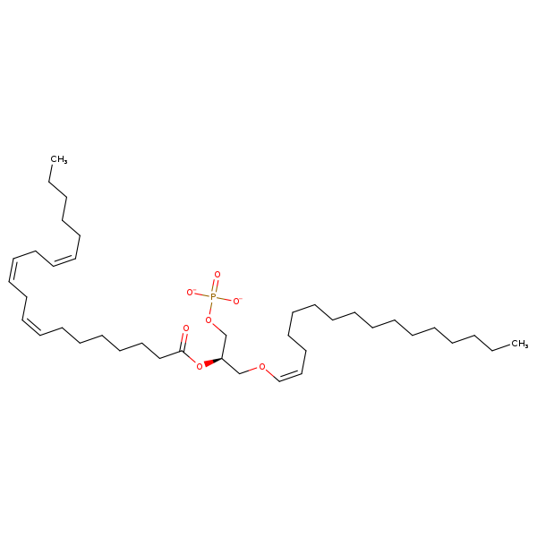 Image of MNXM67383